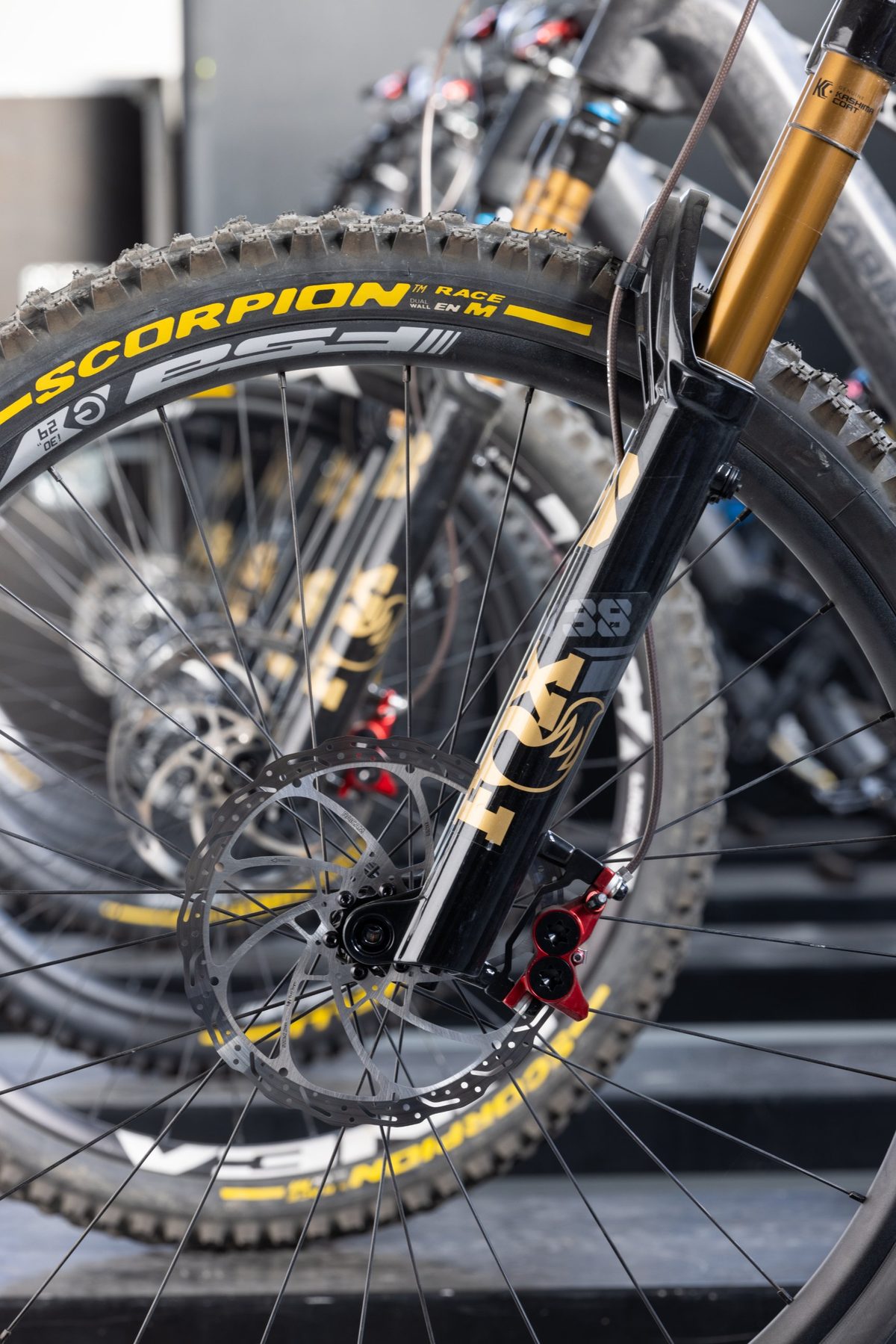 A row of Carbotronics bikes lined up, front wheels and Fox 38 forks in the foreground